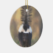 Skunk Ornament (Rechts)