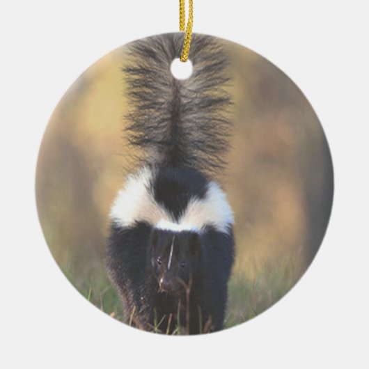 Skunk Ornament (Voorkant)