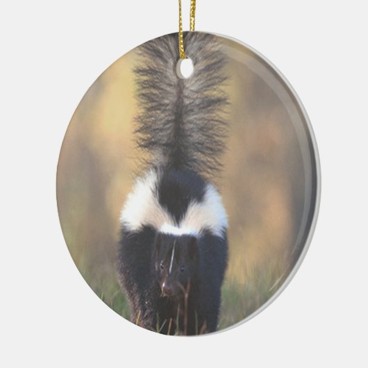 Skunk Ornament (Links)
