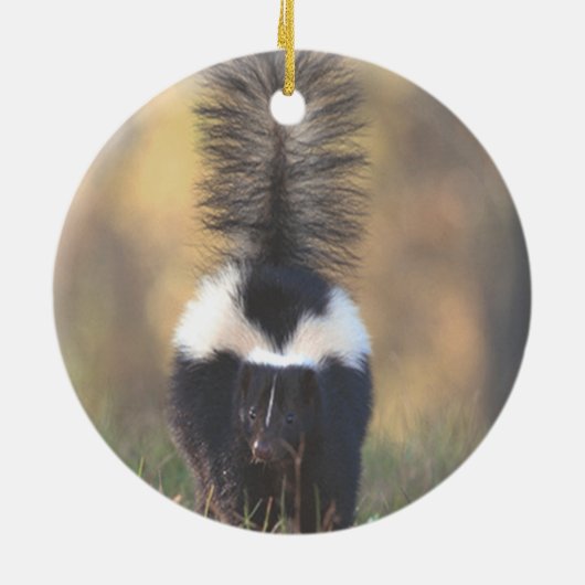 Skunk Ornament (Achterkant)