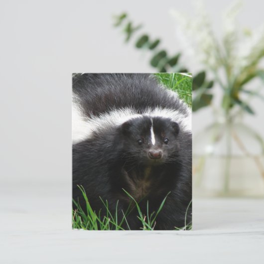 Skunk Photo Briefkaart (Staand voorkant)
