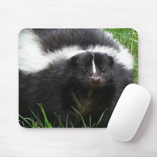 Skunk Photo Muismat (Met muis)