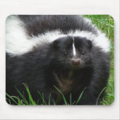 Skunk Photo Muismat (Voorkant)