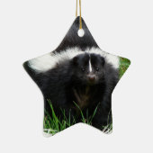 Skunk Photo Ornament (Rechts)