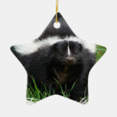 Skunk Photo Ornament (Voorkant)