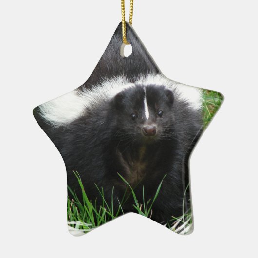 Skunk Photo Ornament (Links)