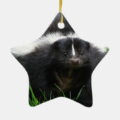 Skunk Photo Ornament (Achterkant)