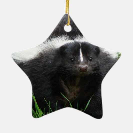 Skunk Photo Ornament (Achterkant)