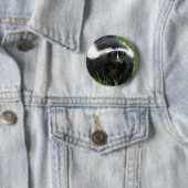 Skunk Photo Round Button (In situ)