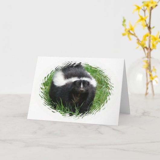 Skunk Photo-Wenskaart Kaart (Gele Bloem)
