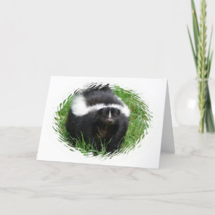Skunk Photo Wenskaart Kaart