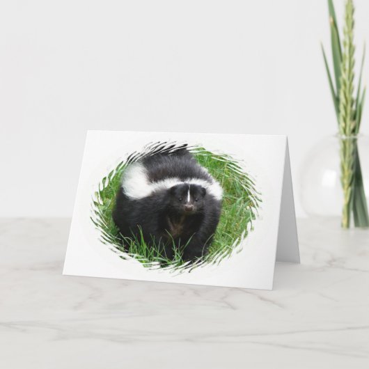 Skunk Photo-Wenskaart Kaart (Voorkant)
