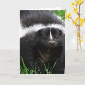 Skunk Photo-Wenskaart Kaart (Gele Bloem)