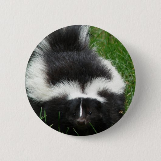 Skunk Round Pin Ronde Button 5,7 Cm (Voorkant)