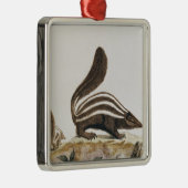 Skunk uit 'Histoire Naturelle' door Metalen Ornament (Rechts)