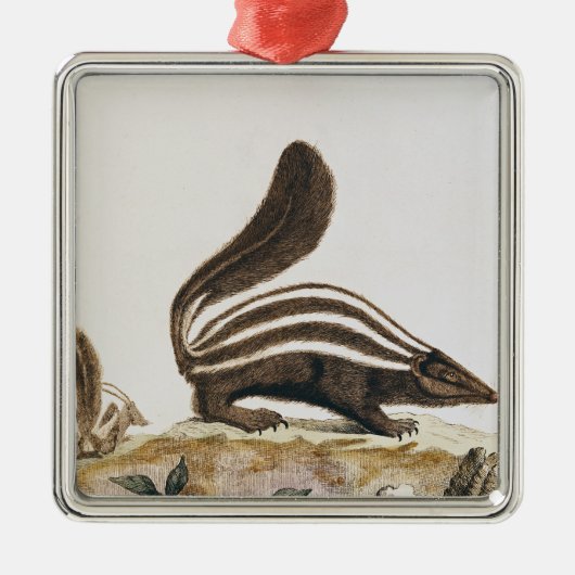 Skunk uit 'Histoire Naturelle' door Metalen Ornament (Voorkant)