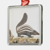Skunk uit 'Histoire Naturelle' door Metalen Ornament (Links)