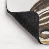 Skunk uit 'Histoire Naturelle' door Muismat (Hoek)