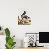 Skunk uit 'Histoire Naturelle' door Poster (Thuiskantoor)
