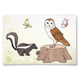 Skunk und Eule Fotodruck Foto Afdruk