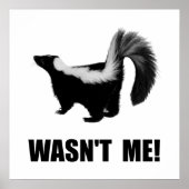 Skunk was weg. poster (Voorkant)