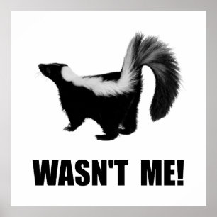 Skunk was weg. poster