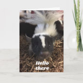 **SKUNK ZEGT GELUKKIGE VERJAARDAG** KAART (Voorkant)