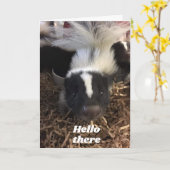 **SKUNK ZEGT GELUKKIGE VERJAARDAG** KAART (Gele Bloem)