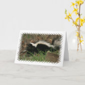 Skunkgedrag Wenskaart Kaart (Gele Bloem)