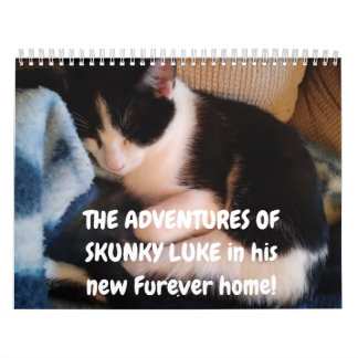 Skunky Luke's avonturen Kalender