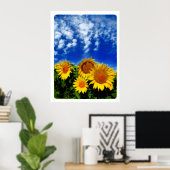 Sky and Bloom , poster (Thuiskantoor)