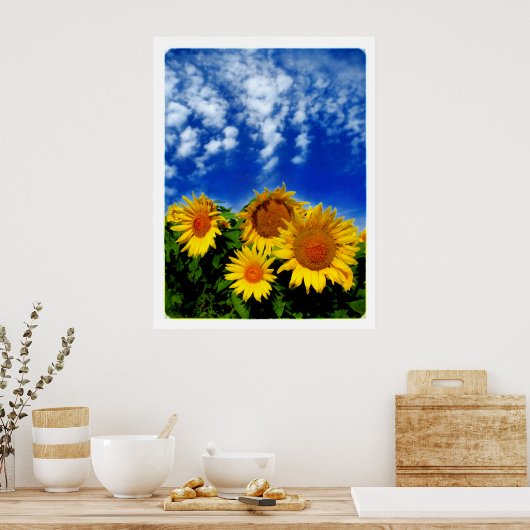 Sky and Bloom , poster (Keuken)