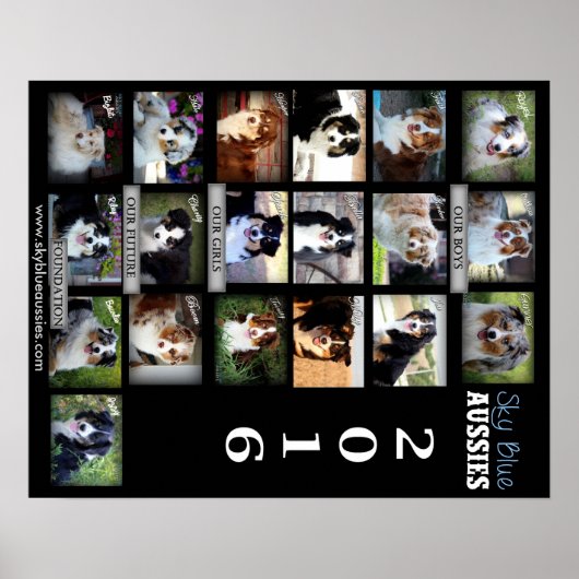 Sky Blue Aussies 2016 POSTER (Voorkant)