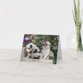 Sky Blue Aussies Notecard Puppies 1 Kaart (Voorkant)