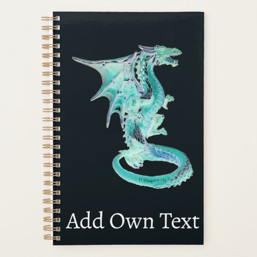 Sky Blue Dragon Planner (Voorkant)