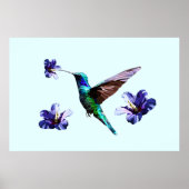 Sky Blue Gorgeous Hummingbird/Hibiscus Poster (Voorkant)