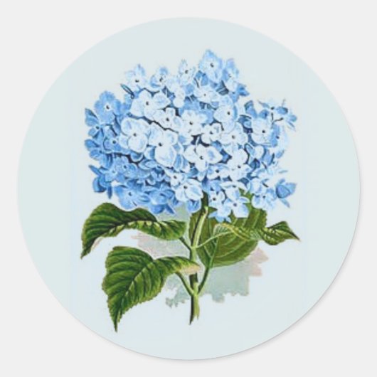 Sky Blue Hydrangea Ronde Sticker (Voorkant)