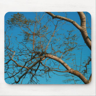 Sky Blue Mousepad Muismat