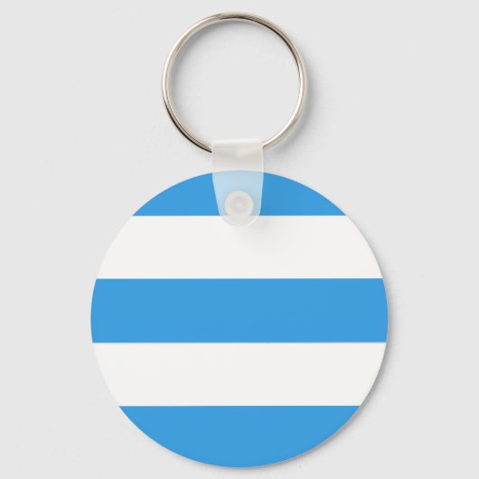 Sky Blue Striped Patroon Sleutelhanger (Voorkant)