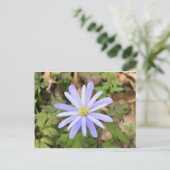 Sky Blue Windflower Briefkaart (Staand voorkant)