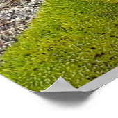 Sky boivin gedicht poster (Hoek)