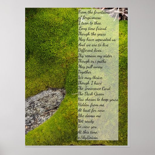 Sky boivin gedicht poster (Voorkant)