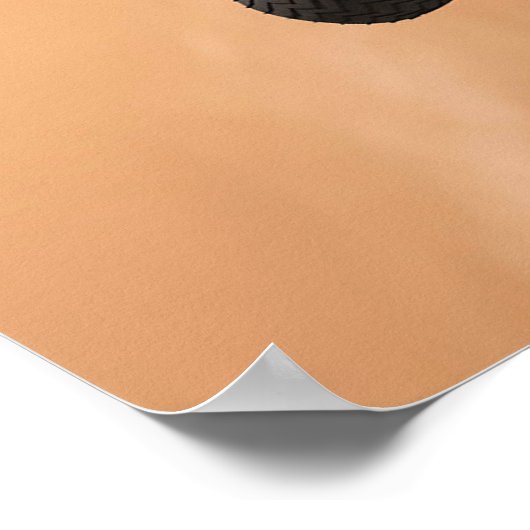 Sky Crane manoeuvre tijdens Curiosity's Mars afdal Poster (Hoek)