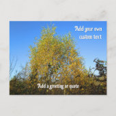 Sky Dancing Autumn Leaves - Gepersonaliseerd Briefkaart (Voorkant)