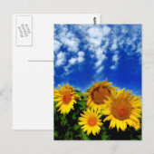 Sky en Bloom Briefkaart (Voorkant / Achterkant)