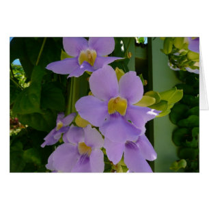 Sky Flower Vine Tropical Paars Floral