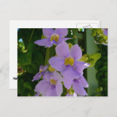 Sky Flower Vine Tropical Paars Floral Briefkaart (Voorkant / Achterkant)