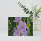 Sky Flower Vine Tropical Paars Floral Briefkaart (Staand voorkant)