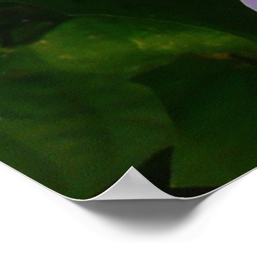 Sky Flower Vine Tropical Paars Floral Poster (Hoek)