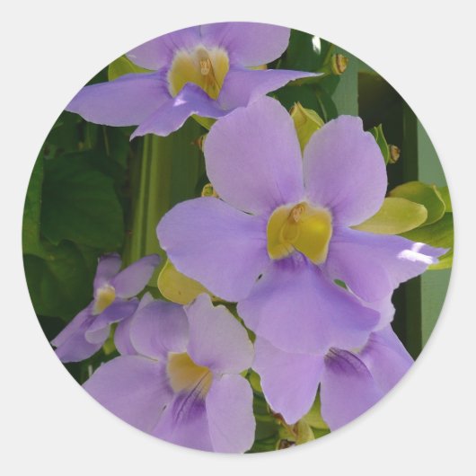 Sky Flower Vine Tropical Paars Floral Ronde Sticker (Voorkant)